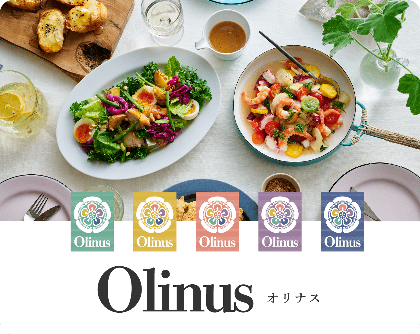 Olinus